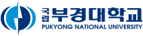 국립부경대학교 공식 로고